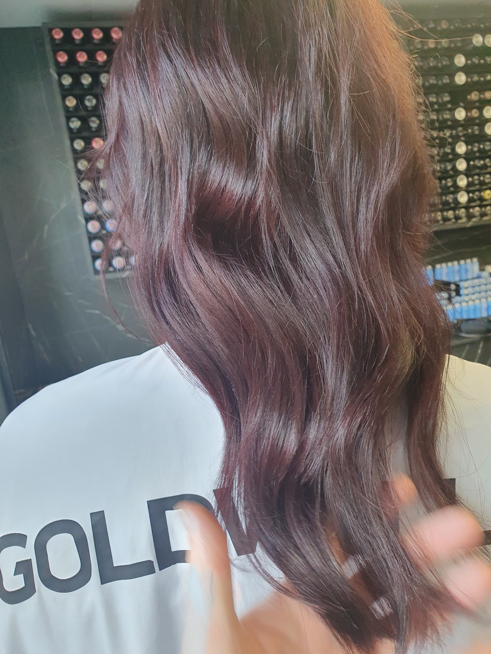 R2HairStudio, photograph 3.